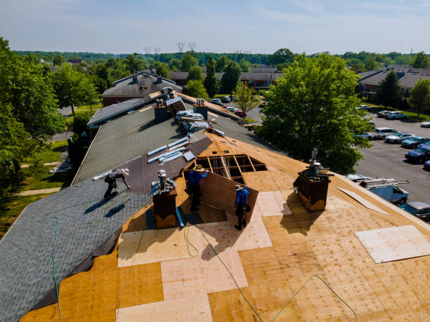 Trusted Flat Roof Repair service in Violet, LA - Brentwood Metal Roofing